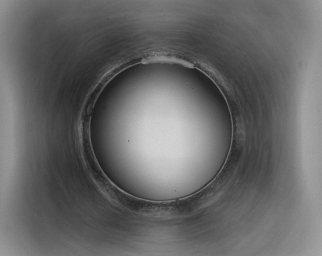 X0000115830626200911201506