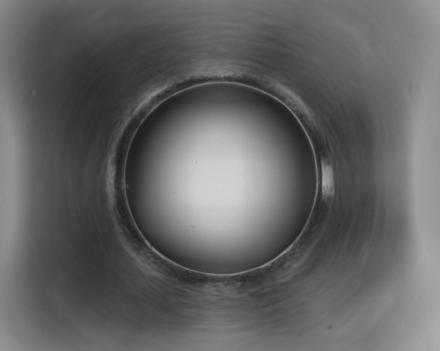 X0000115830627200911201506