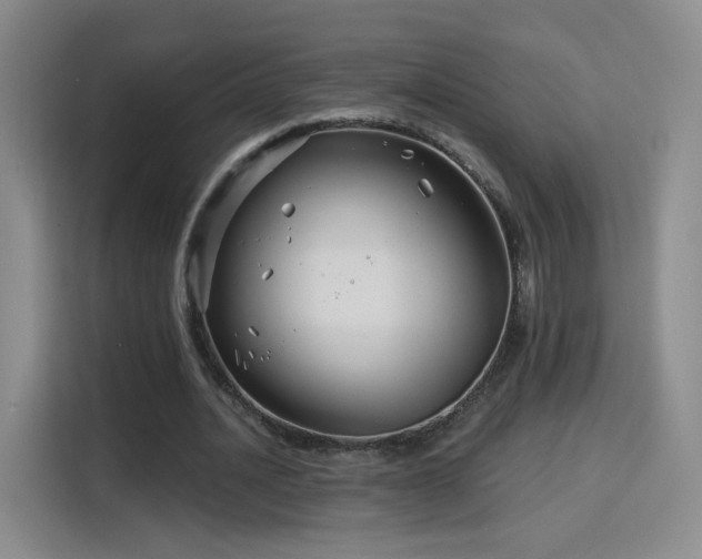 X0000115830628200911201506