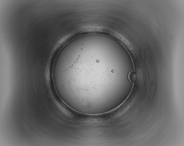 X0000115830629200911201506