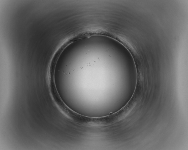 X0000115830630200911201506