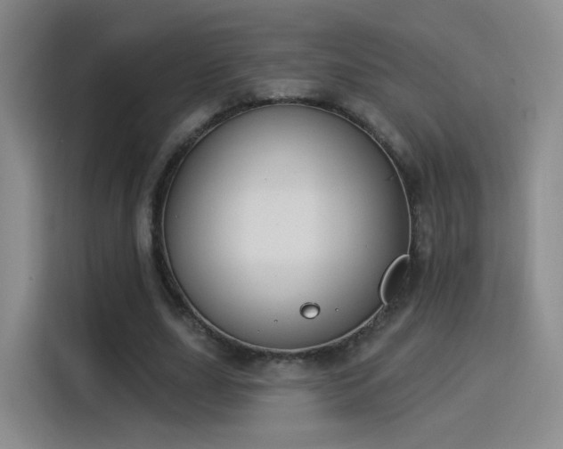 X0000115830631200911201506