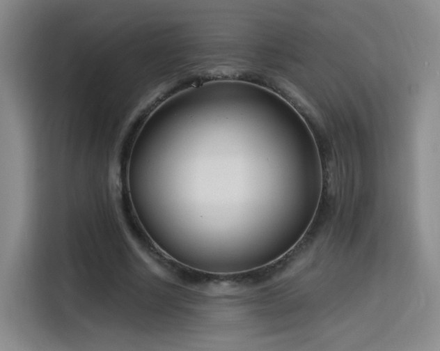 X0000115830634200911201506