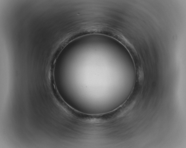 X0000115830637200911201506