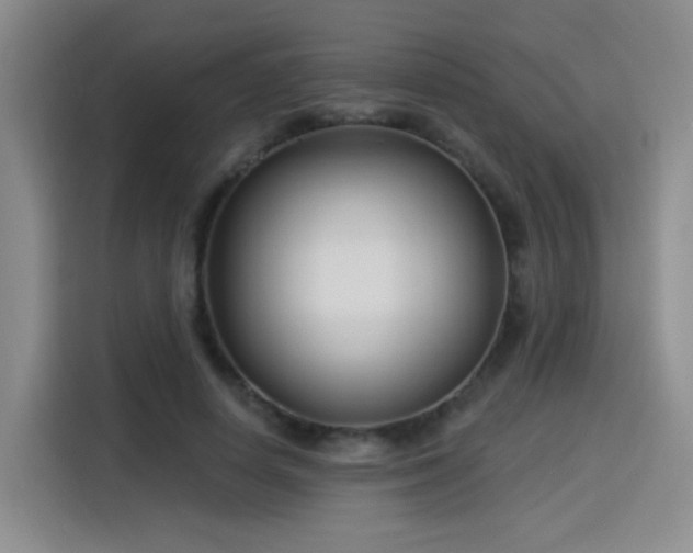 X0000115830642200911201506