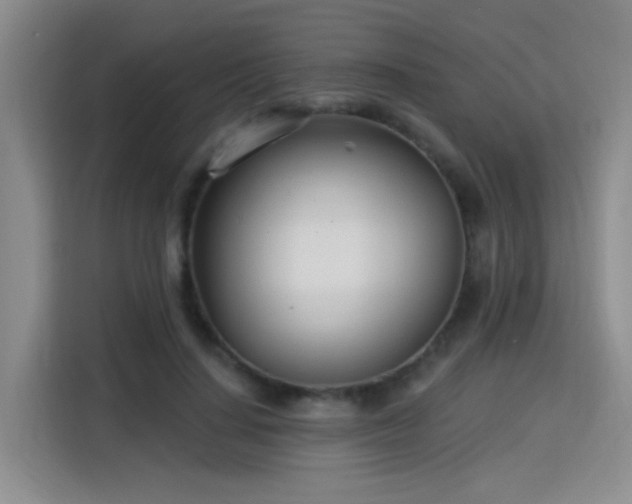 X0000115830644200911201506