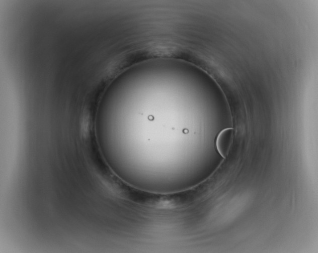 X0000115830647200911201506