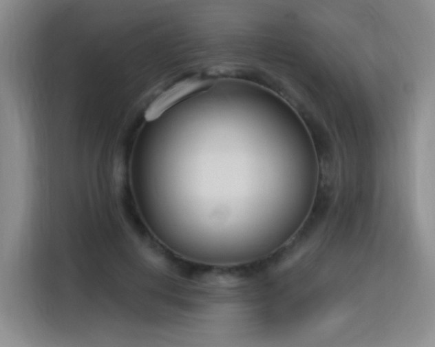 X0000115830648200911201506