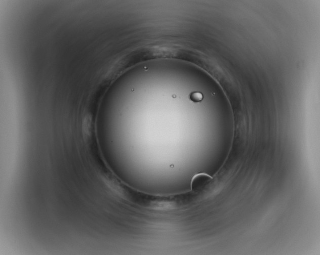 X0000115830649200911201506