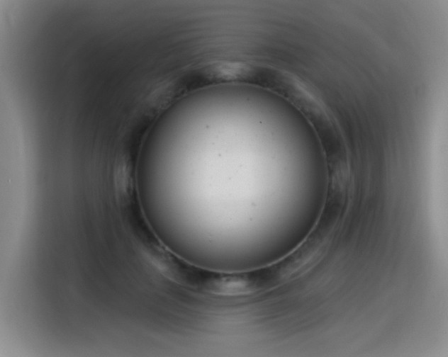 X0000115830651200911201506