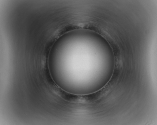 X0000115830656200911201506