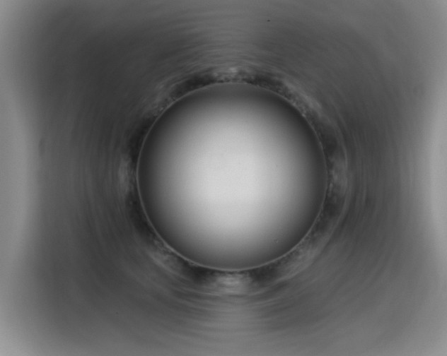 X0000115830659200911201506