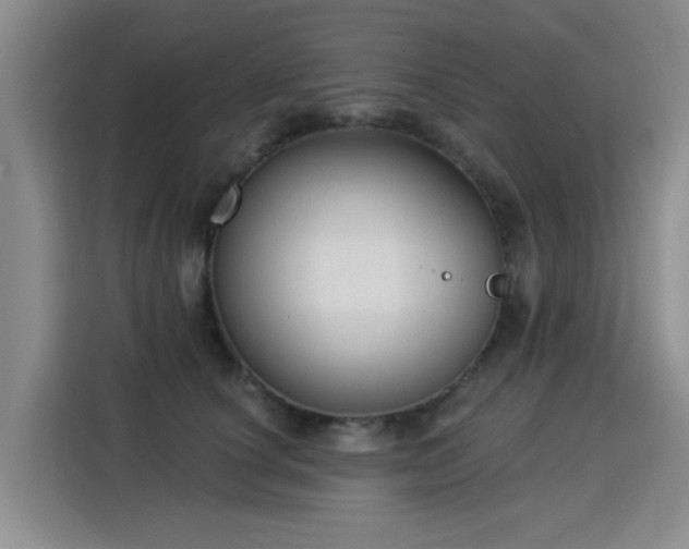 X0000115830660200911201506