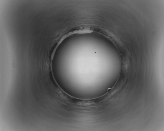 X0000115830661200911201506