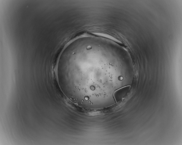 X0000115830669200911201506