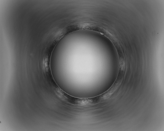 X0000115830670200911201506