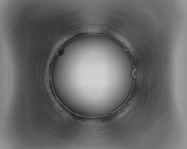 X0000115830673200911201506