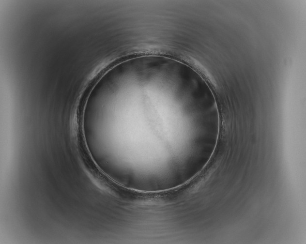 X0000115830674200911201506