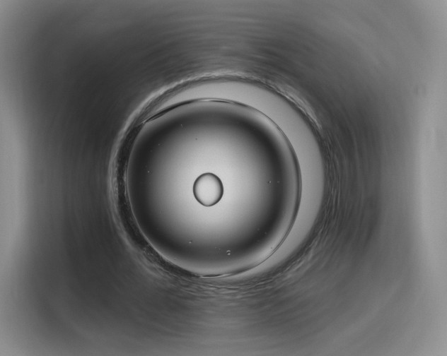 X0000115830676200911201506