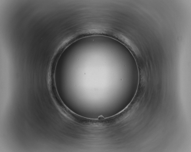 X0000115830677200911201506