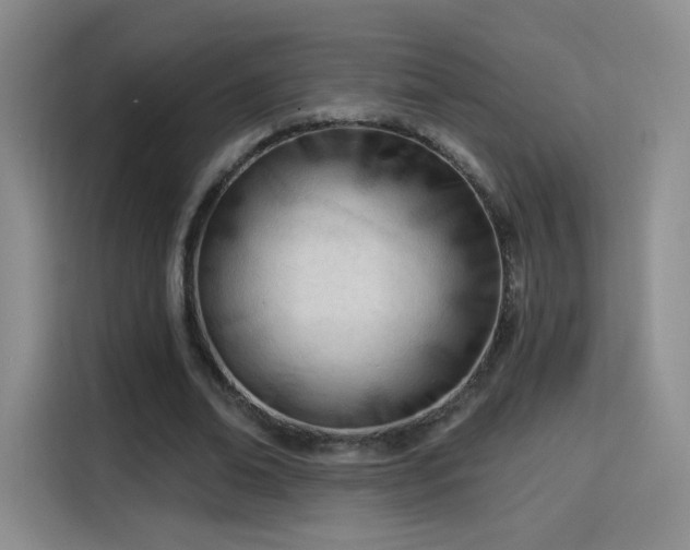 X0000115830678200911201506