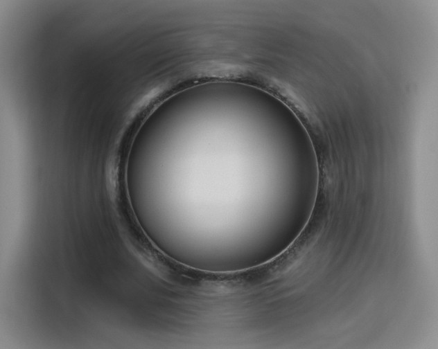 X0000115830679200911201506