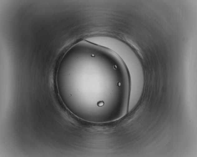 X0000115830681200911201506