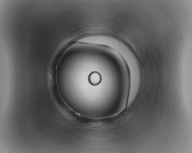 X0000115830688200911201505