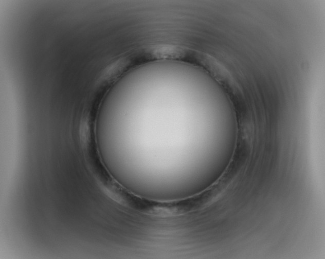 X0000115830690200911201505