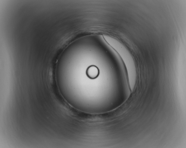 X0000115830696200911201505