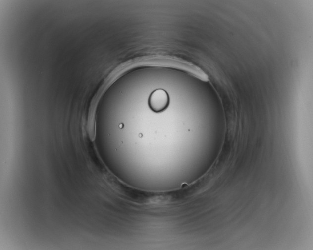 X0000115830700200911201505