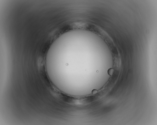 X0000115830701200911201505