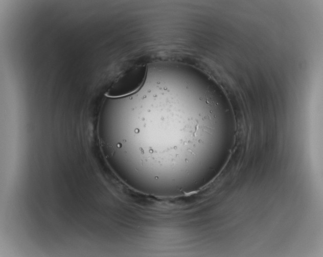 X0000115830703200911201505