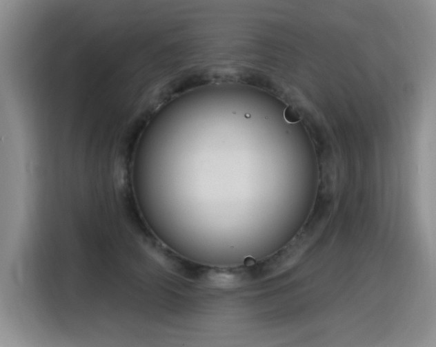 X0000115830706200911201505