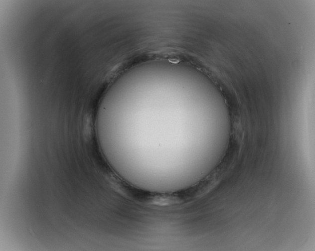 X0000115830708200911201505