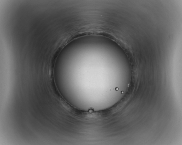 X0000115830709200911201505