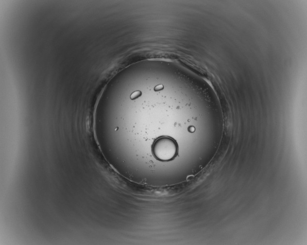 X0000115830715200911201505