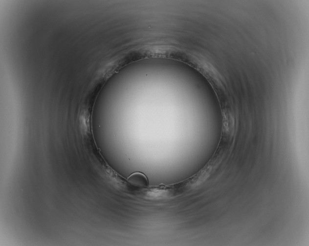 X0000115830718200911201505