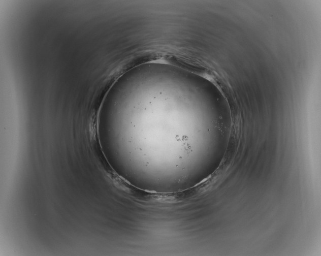 X0000115830719200911201505