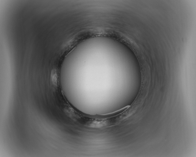 X0000115830720200911201505