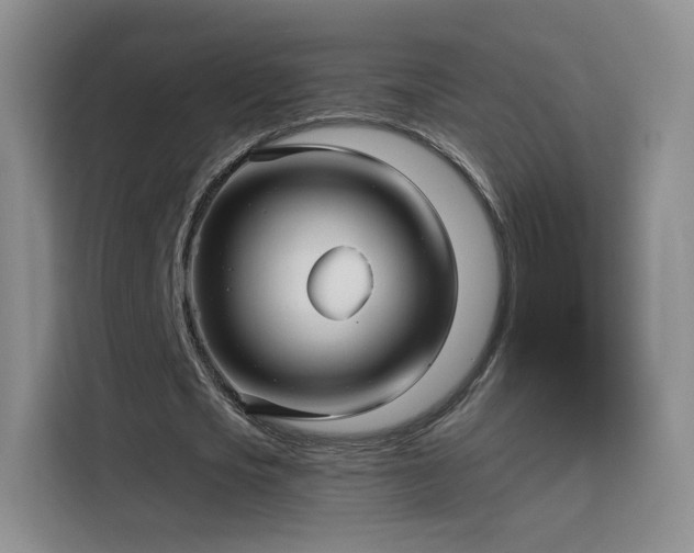 X0000115830721200911201504