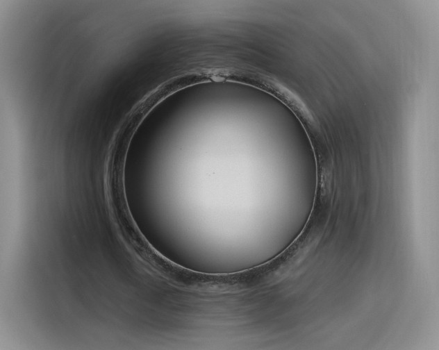 X0000115830722200911201504