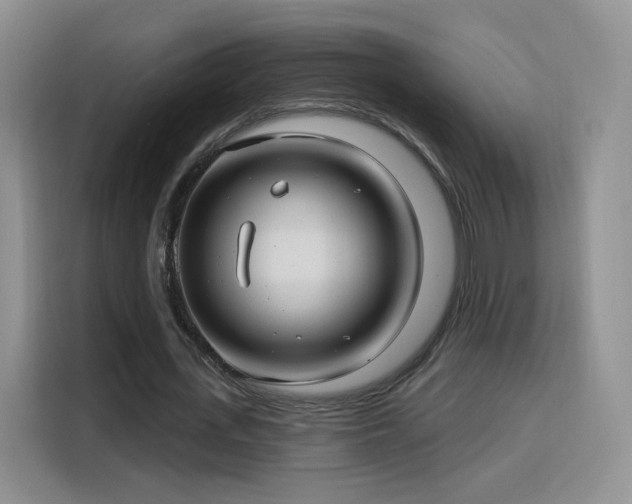 X0000115830723200911201504