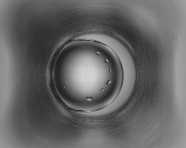 X0000115830725200911201504