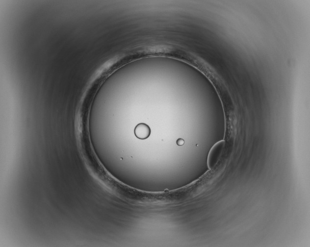 X0000115830726200911201505