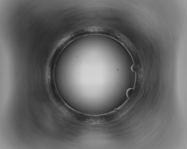 X0000115830727200911201505