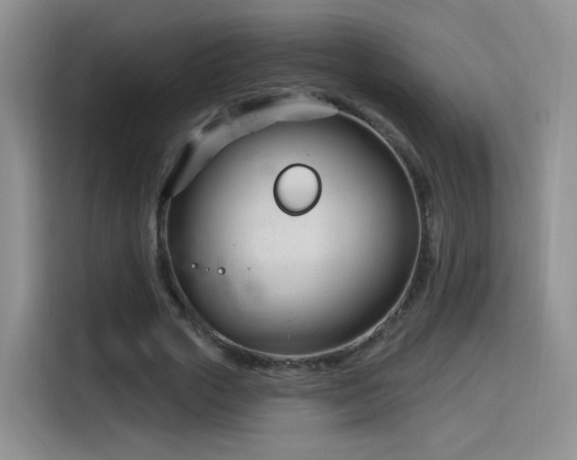 X0000115830729200911201505