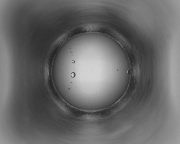 X0000115830733200911201505