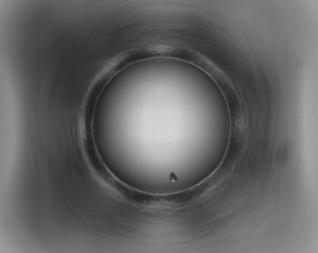 X0000115830734200911201505