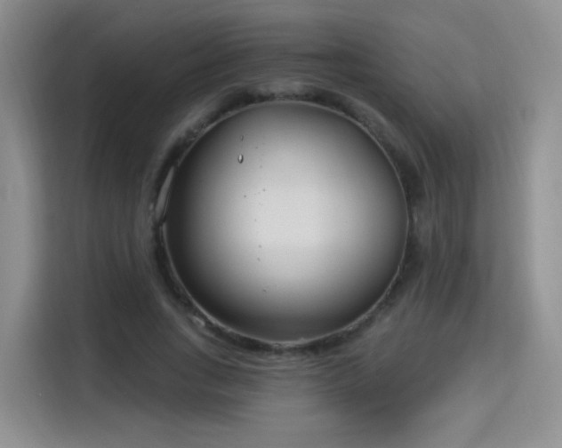 X0000115830735200911201505